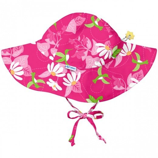 787169-Fuchsia-Hummingbird